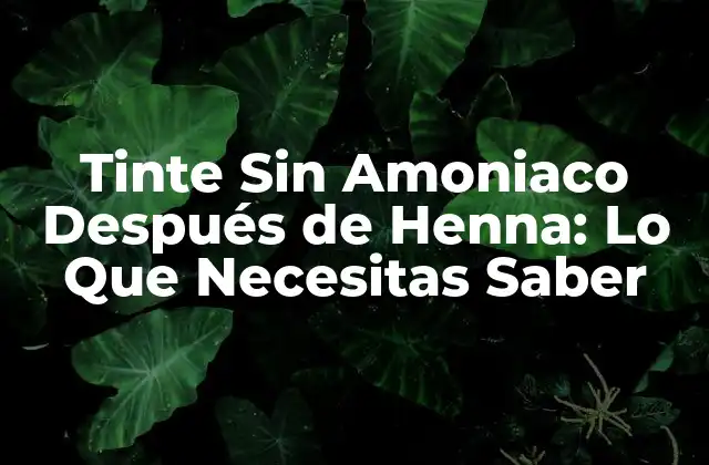Tinte sin Amoniaco Después de Henna: Lo que Necesitas Saber 2 ¿Qué es el Amoniaco en los Tintes del Cabello?