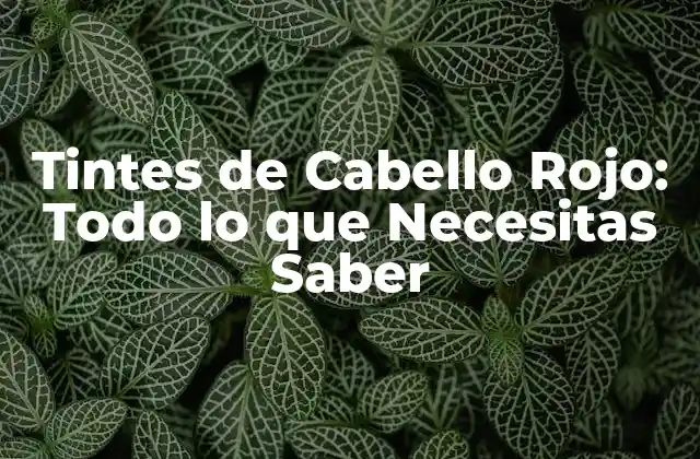 Tintes de Cabello Rojo: Todo Lo que Necesitas Saber