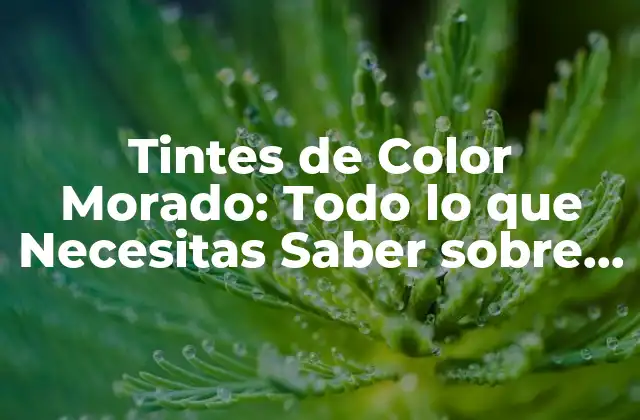 Tintes de Color Morado: Todo Lo que Necesitas Saber sobre los Tonos Púrpuras