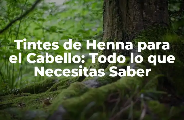 Tintes de Henna para el Cabello: Todo Lo que Necesitas Saber