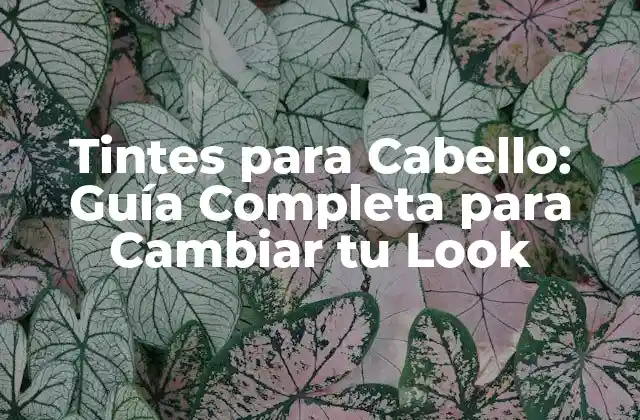 Tipos de Tintes para Cabello