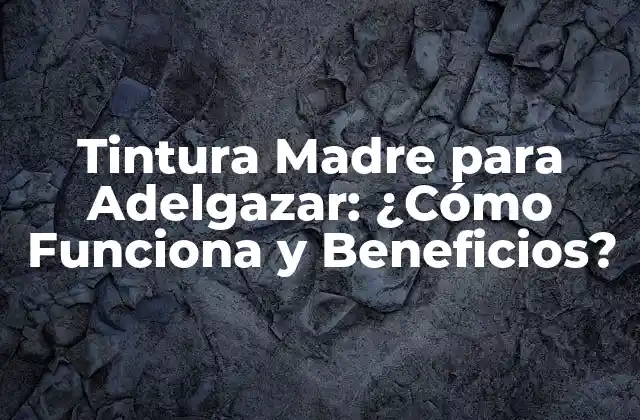 Tintura Madre para Adelgazar: ¿cómo Funciona y Beneficios?