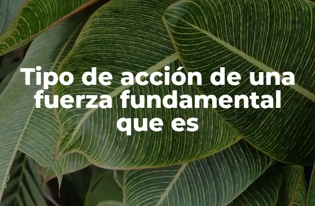 Tipo de Acción de una Fuerza Fundamental que es