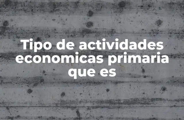 Tipo de Actividades Economicas Primaria que es