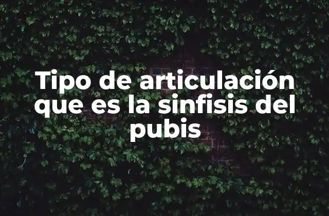 Tipo de Articulación que es la Sinfisis Del Pubis