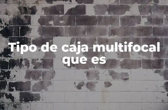 Tipo de Caja Multifocal que es