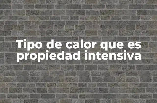 Cómo se diferencia el calor de otras magnitudes termodinámicas