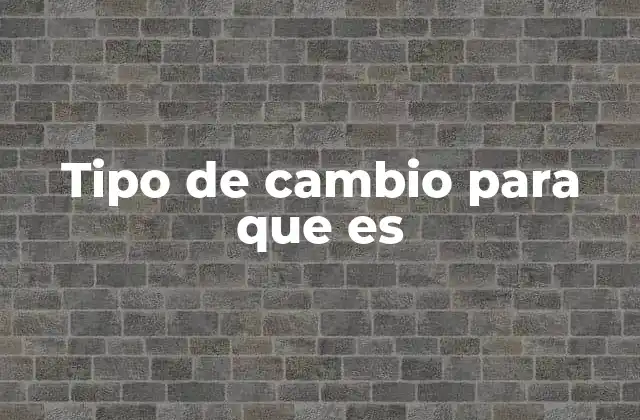 Tipo de Cambio para que es