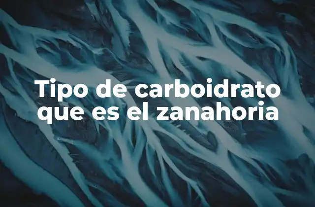 ¿Cómo se clasifican los carbohidratos en la zanahoria?