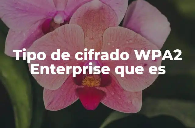 Tipo de Cifrado Wpa2 Enterprise que es