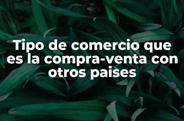 Tipo de Comercio que es la Compra-venta con Otros Paises