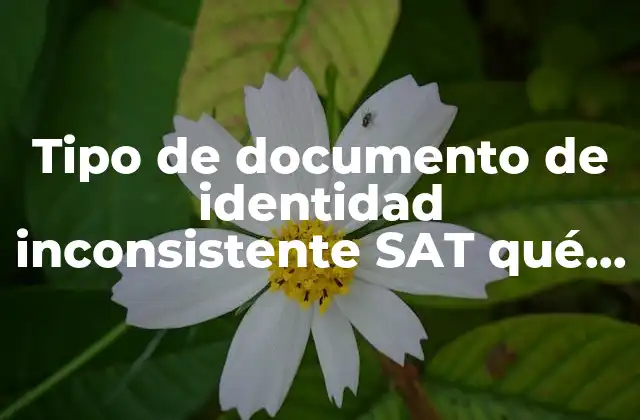 Tipo de Documento de Identidad Inconsistente Sat Qué es