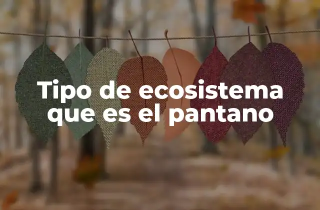 Tipo de Ecosistema que es el Pantano