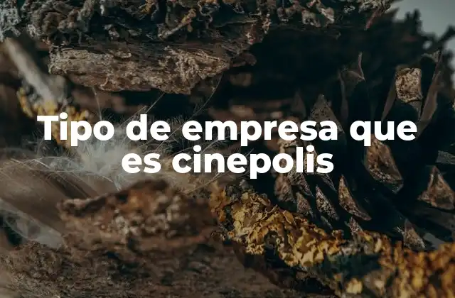 Tipo de Empresa que es Cinepolis