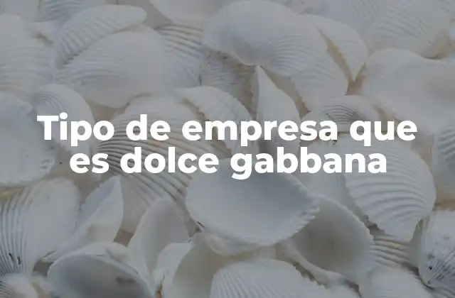 Tipo de Empresa que es Dolce Gabbana