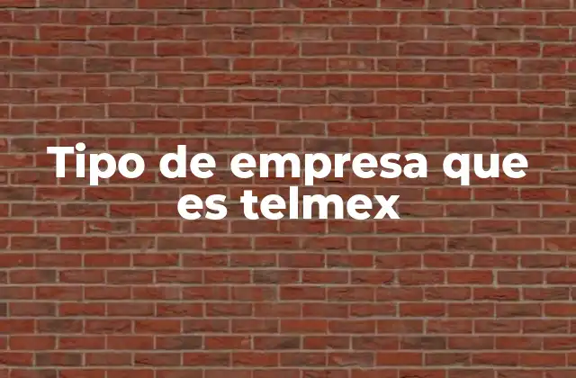 Tipo de Empresa que es Telmex