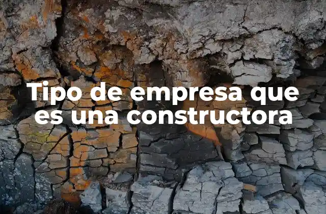 Tipo de Empresa que es una Constructora