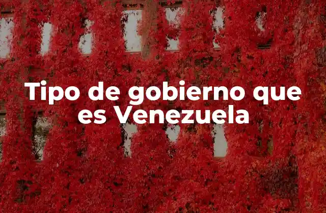 Tipo de Gobierno que es Venezuela