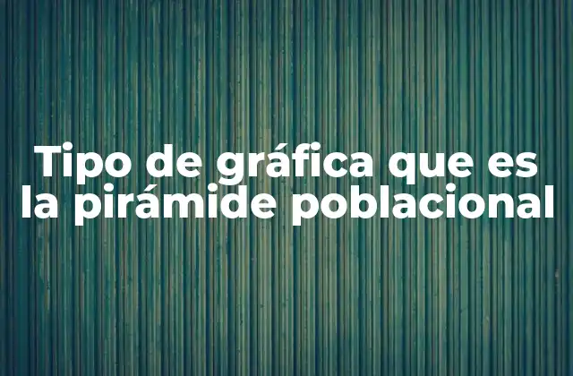 La representación visual de la estructura demográfica