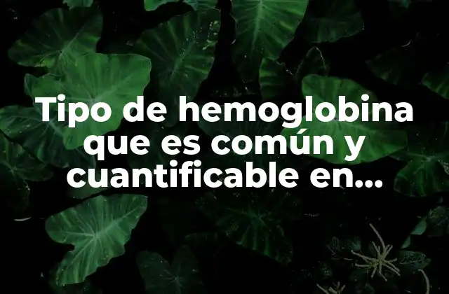 Tipo de Hemoglobina que es Común y Cuantificable en Adultos