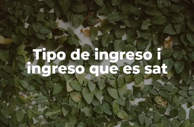 Tipo de Ingreso I Ingreso que es Sat