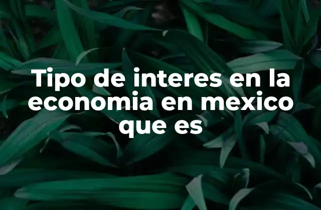 Tipo de Interes en la Economia en Mexico que es
