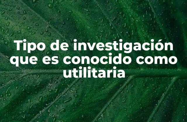 Tipo de Investigación que es Conocido como Utilitaria