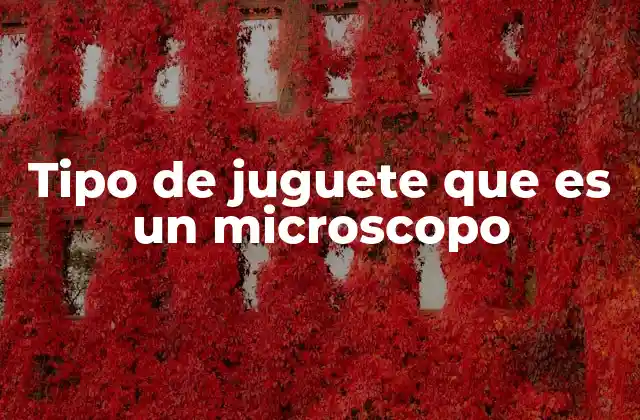 Tipo de Juguete que es un Microscopo