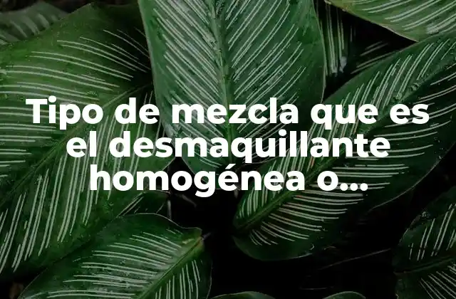 Tipo de Mezcla que es el Desmaquillante Homogénea o Heterogéneas