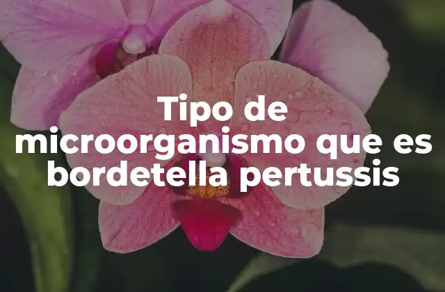 Características biológicas y mecanismos de infección de Bordetella pertussis