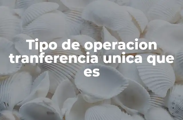 Diferencias entre una transferencia única y otras formas de pago