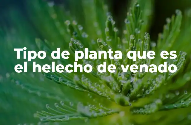 Características que definen al helecho de venado