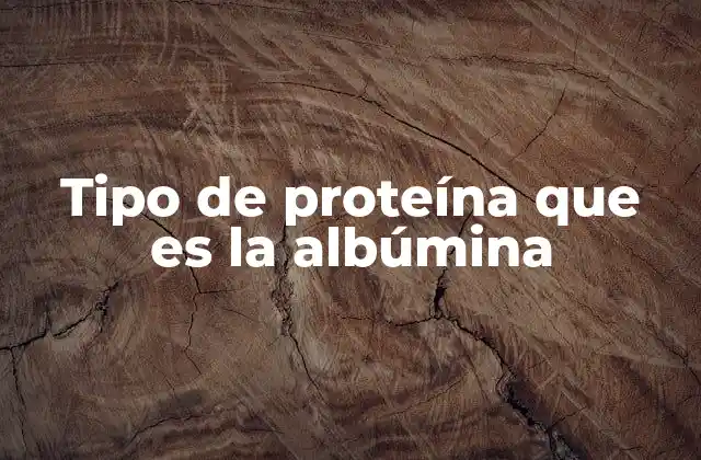 Tipo de Proteína que es la Albúmina