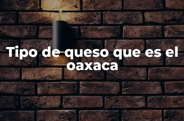 Tipo de Queso que es el Oaxaca