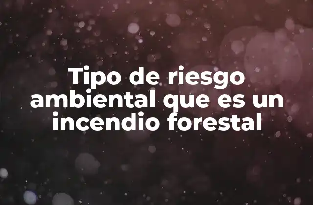 Tipo de Riesgo Ambiental que es un Incendio Forestal