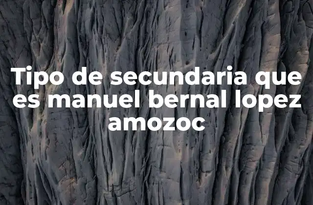 Tipo de Secundaria que es Manuel Bernal Lopez Amozoc