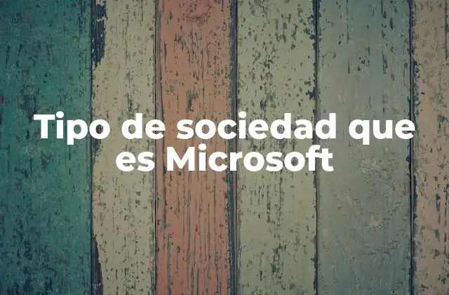 Tipo de Sociedad que es Microsoft