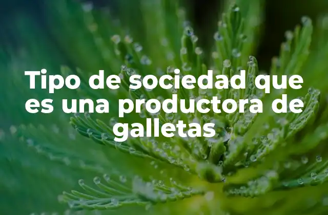 Tipo de Sociedad que es una Productora de Galletas