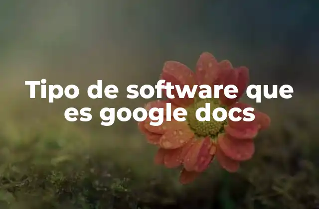 Tipo de Software que es Google Docs 2 Software de colaboración en la nube