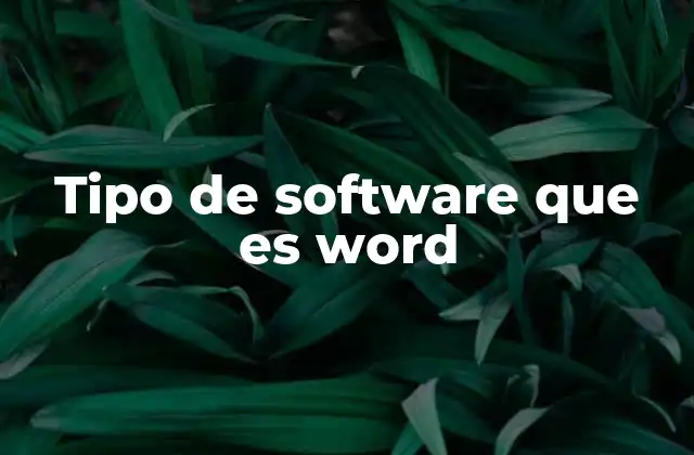 Cómo Word se clasifica dentro del ecosistema de software