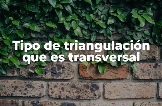Tipo de Triangulación que es Transversal