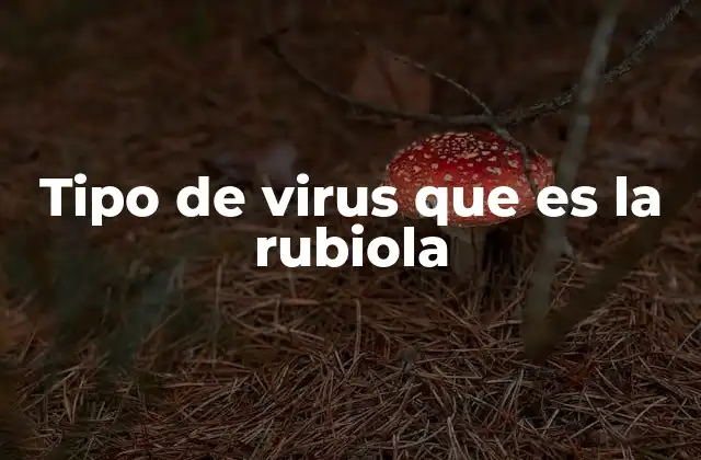 Tipo de Virus que es la Rubiola