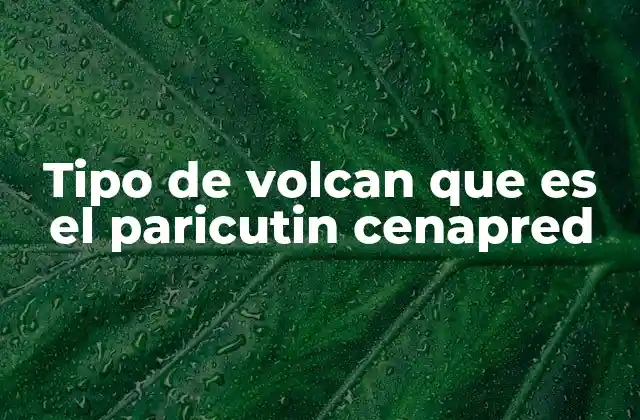 Tipo de Volcan que es el Paricutin Cenapred