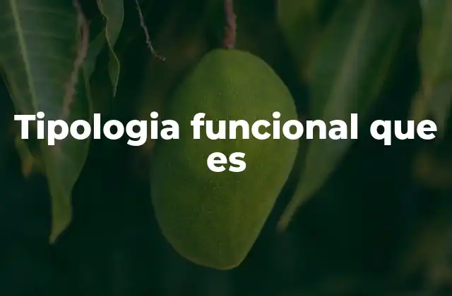 Tipologia Funcional que es 2 Cómo se aplica la tipología funcional en el diseño arquitectónico