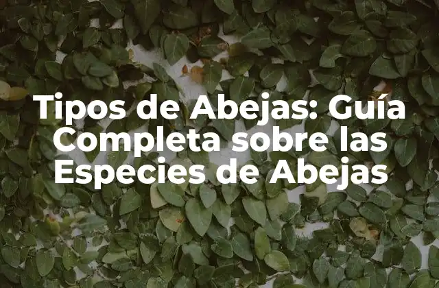 Tipos de Abejas: Guía Completa sobre las Especies de Abejas
