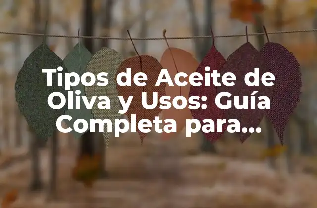 Tipos de Aceite de Oliva y Usos: Guía Completa para Aprovechar Al Máximo Su Potencial