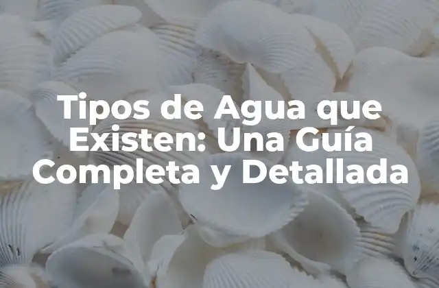 Tipos de Agua que Existen: una Guía Completa y Detallada
