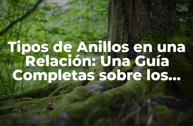 Tipos de Anillos en una Relación: una Guía Completas sobre los Anillos de Compromiso