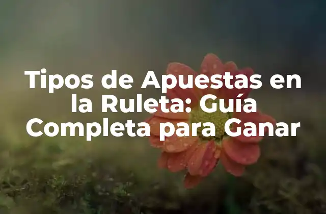 Tipos de Apuestas en la Ruleta: Guía Completa para Ganar 2 Apuestas Interiores en la Ruleta