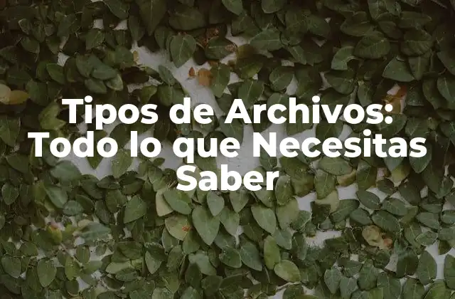 Tipos de Archivos: Todo Lo que Necesitas Saber
